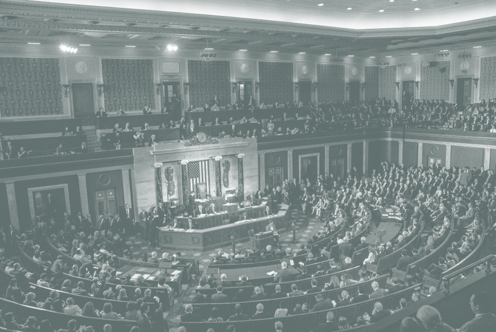 United States Congress In Session